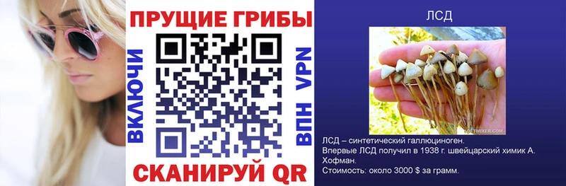 мега онион  Серафимович  Галлюциногенные грибы мухоморы 