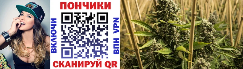 Бошки марихуана Amnesia Серафимович